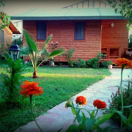 Sera Pansiyon ชิลารึ ห้อง รูปภาพ