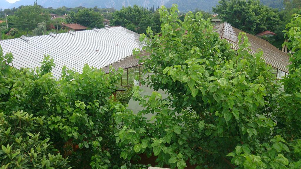 Sera Pansiyon ชิลารึ ภายนอก รูปภาพ